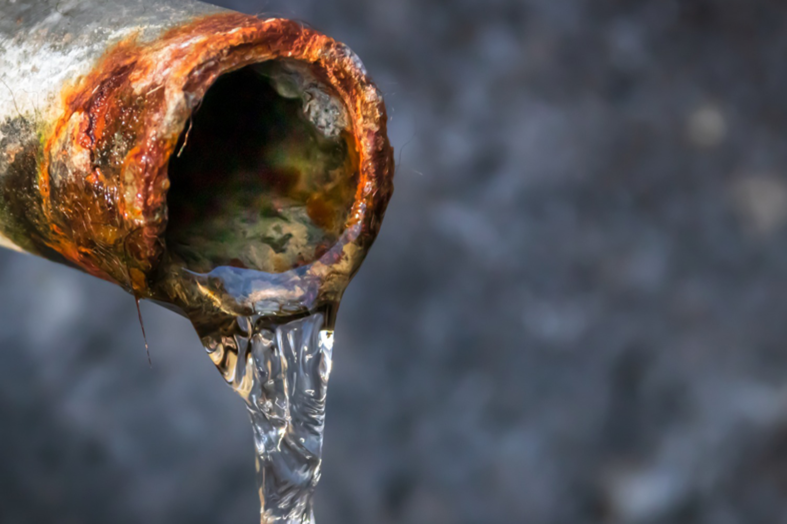 clean water specialists