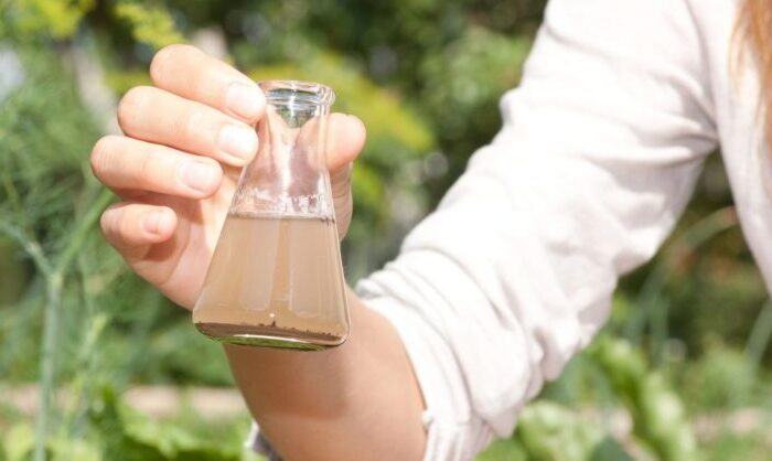 Why Regular Water Testing Matters for a Safer, Better-Tasting Home